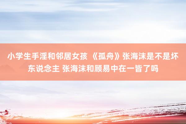 小学生手淫和邻居女孩 《孤舟》张海沫是不是坏东说念主 张海沫和顾易中在一皆了吗