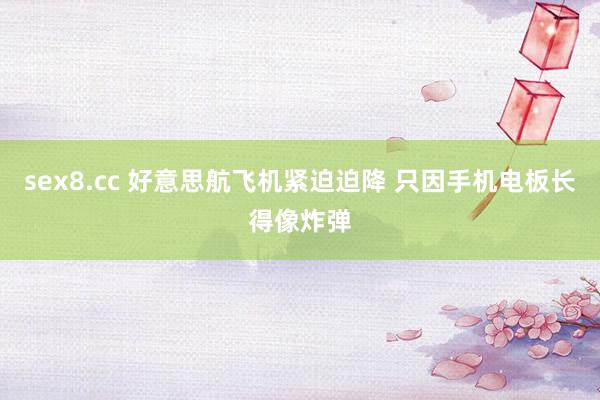 sex8.cc 好意思航飞机紧迫迫降 只因手机电板长得像炸弹