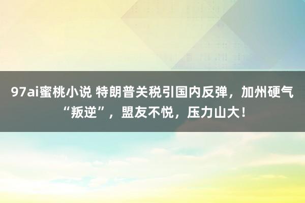 97ai蜜桃小说 特朗普关税引国内反弹，加州硬气“叛逆”，盟友不悦，压力山大！