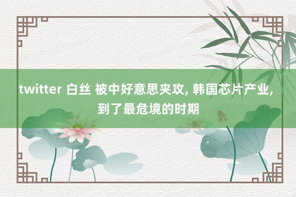 twitter 白丝 被中好意思夹攻, 韩国芯片产业, 到了最危境的时期