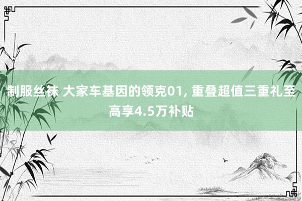 制服丝袜 大家车基因的领克01, 重叠超值三重礼至高享4.5万补贴