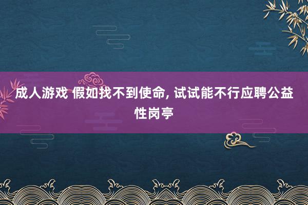 成人游戏 假如找不到使命, 试试能不行应聘公益性岗亭