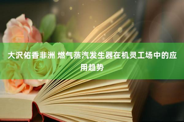 大沢佑香非洲 燃气蒸汽发生器在机灵工场中的应用趋势