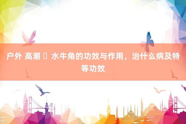 户外 高潮 ​水牛角的功效与作用，治什么病及特等功效