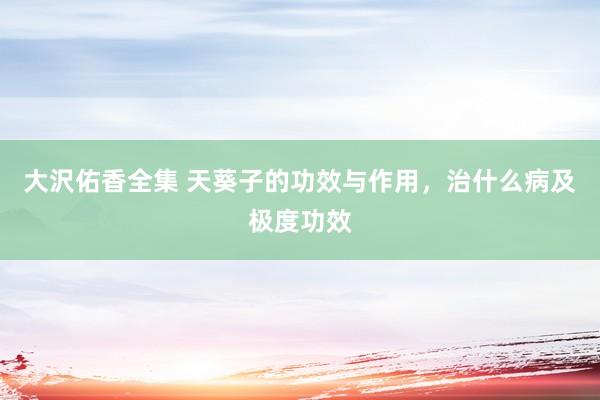 大沢佑香全集 天葵子的功效与作用，治什么病及极度功效