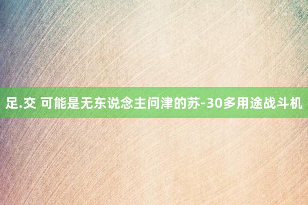 足.交 可能是无东说念主问津的苏-30多用途战斗机