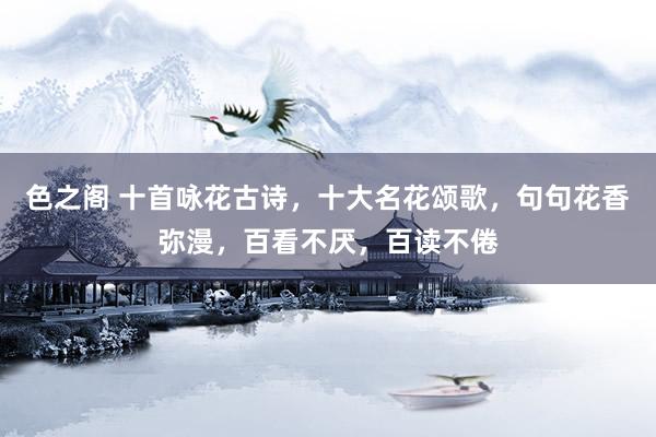 色之阁 十首咏花古诗，十大名花颂歌，句句花香弥漫，百看不厌，百读不倦