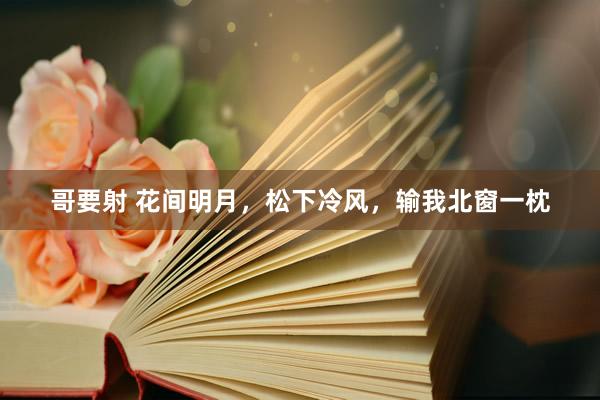 哥要射 花间明月，松下冷风，输我北窗一枕