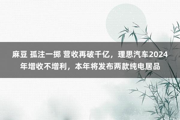 麻豆 孤注一掷 营收再破千亿，理思汽车2024年增收不增利，本年将发布两款纯电居品