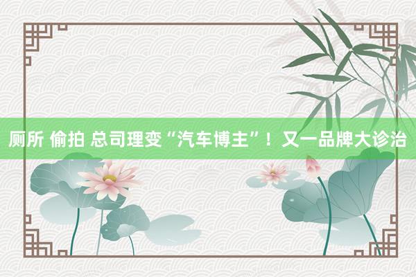 厕所 偷拍 总司理变“汽车博主”！又一品牌大诊治