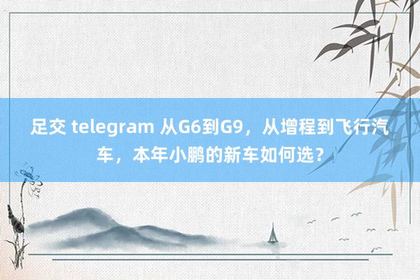 足交 telegram 从G6到G9，从增程到飞行汽车，本年小鹏的新车如何选？
