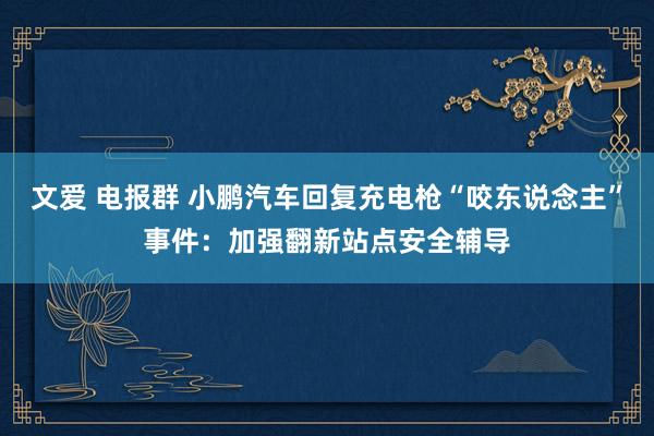文爱 电报群 小鹏汽车回复充电枪“咬东说念主”事件：加强翻新站点安全辅导