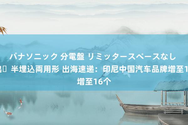 パナソニック 分電盤 リミッタースペースなし 露出・半埋込両用形 出海速递：印尼中国汽车品牌增至16个
