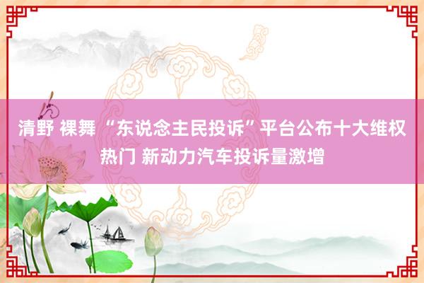 清野 裸舞 “东说念主民投诉”平台公布十大维权热门 新动力汽车投诉量激增