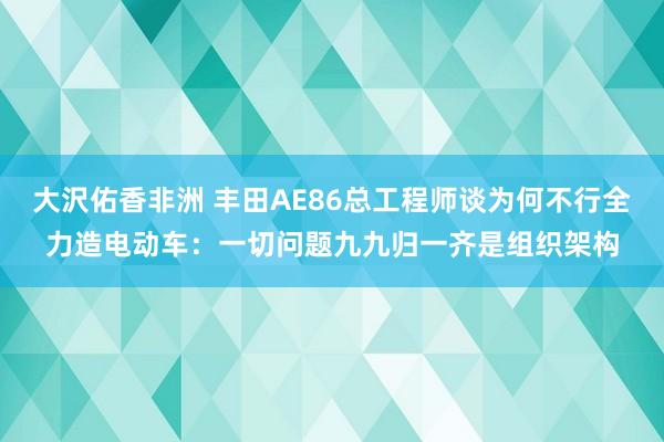 大沢佑香非洲 丰田AE86总工程师谈为何不行全力造电动车：一切问题九九归一齐是组织架构