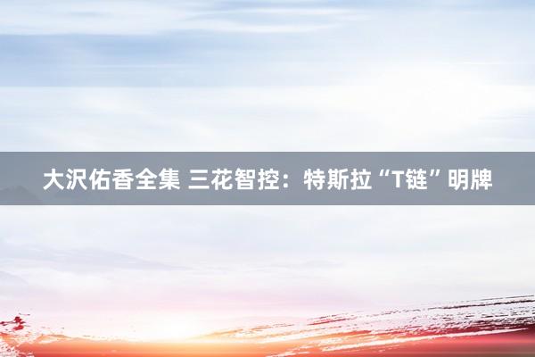 大沢佑香全集 三花智控：特斯拉“T链”明牌